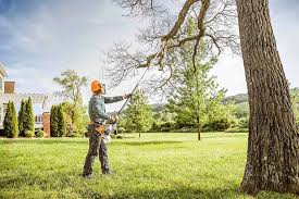 Best Organic Lawn Care Solutions  in Finley, WA
