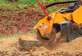 Best Tree Mulching  in Finley, WA